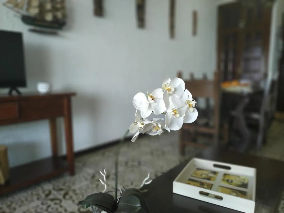 Miami Apartamento Thomas Miami Playa Daire